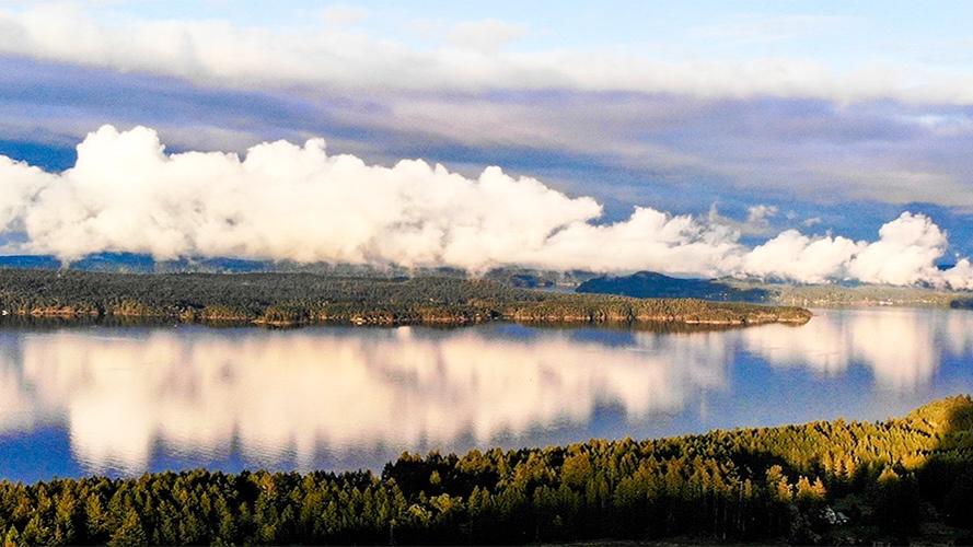 Amazing Cloud Reflections After Rain